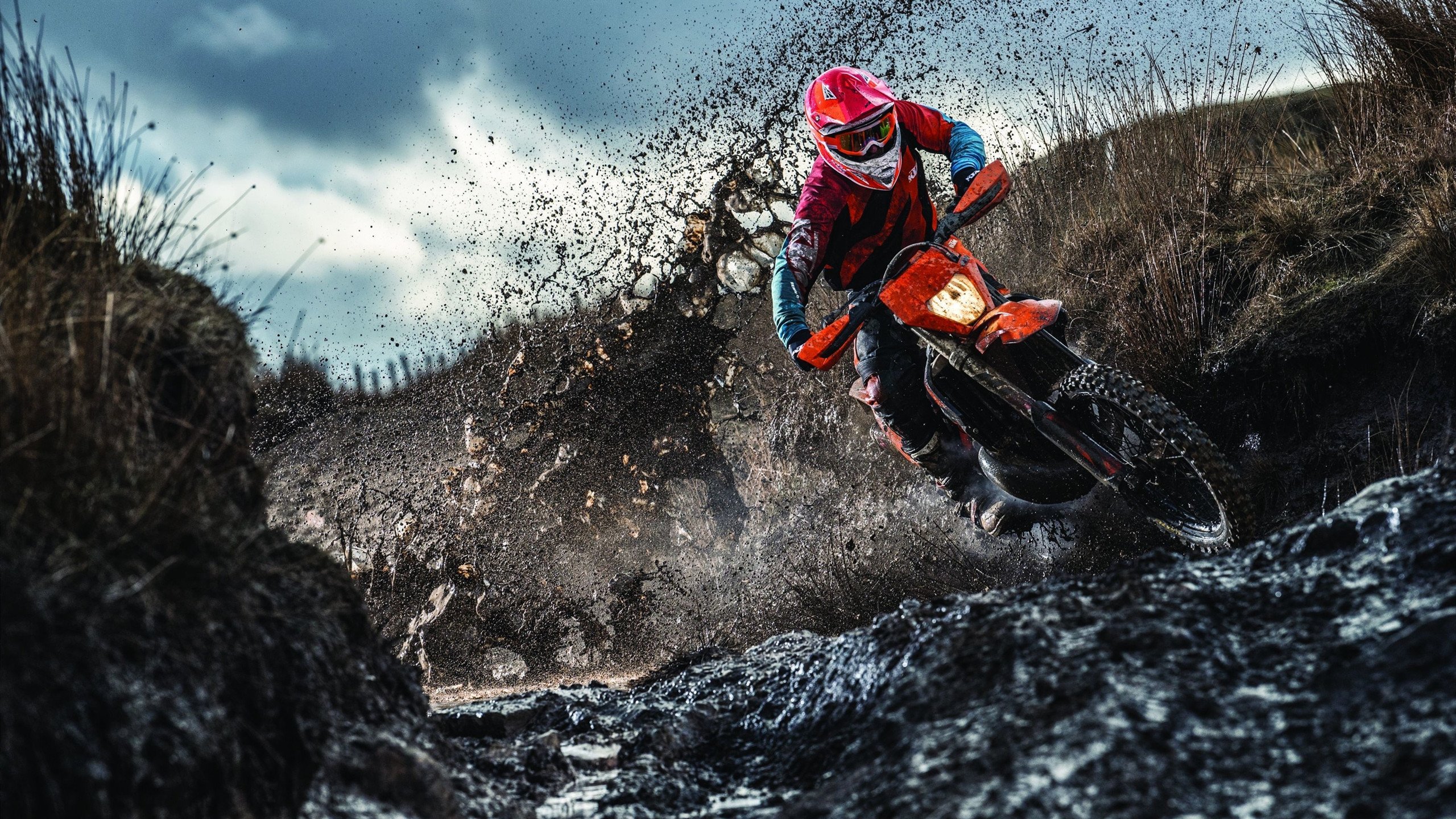 球队抗压能力大考：欧冠中的“世纪大战”，新世纪欧冠历届冠军